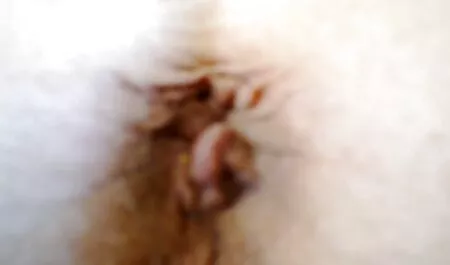 This is eva notty lesbian how You need to fuck in the ass