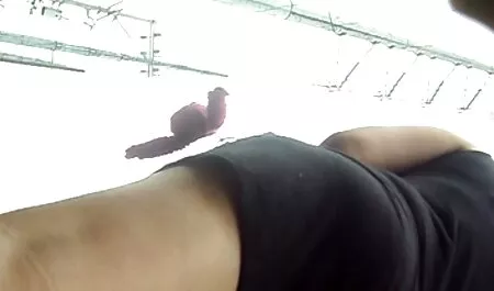 Sex by amateur lesbian porn the sea